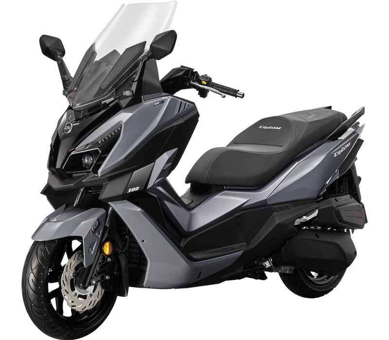 Sym Cruisym 300