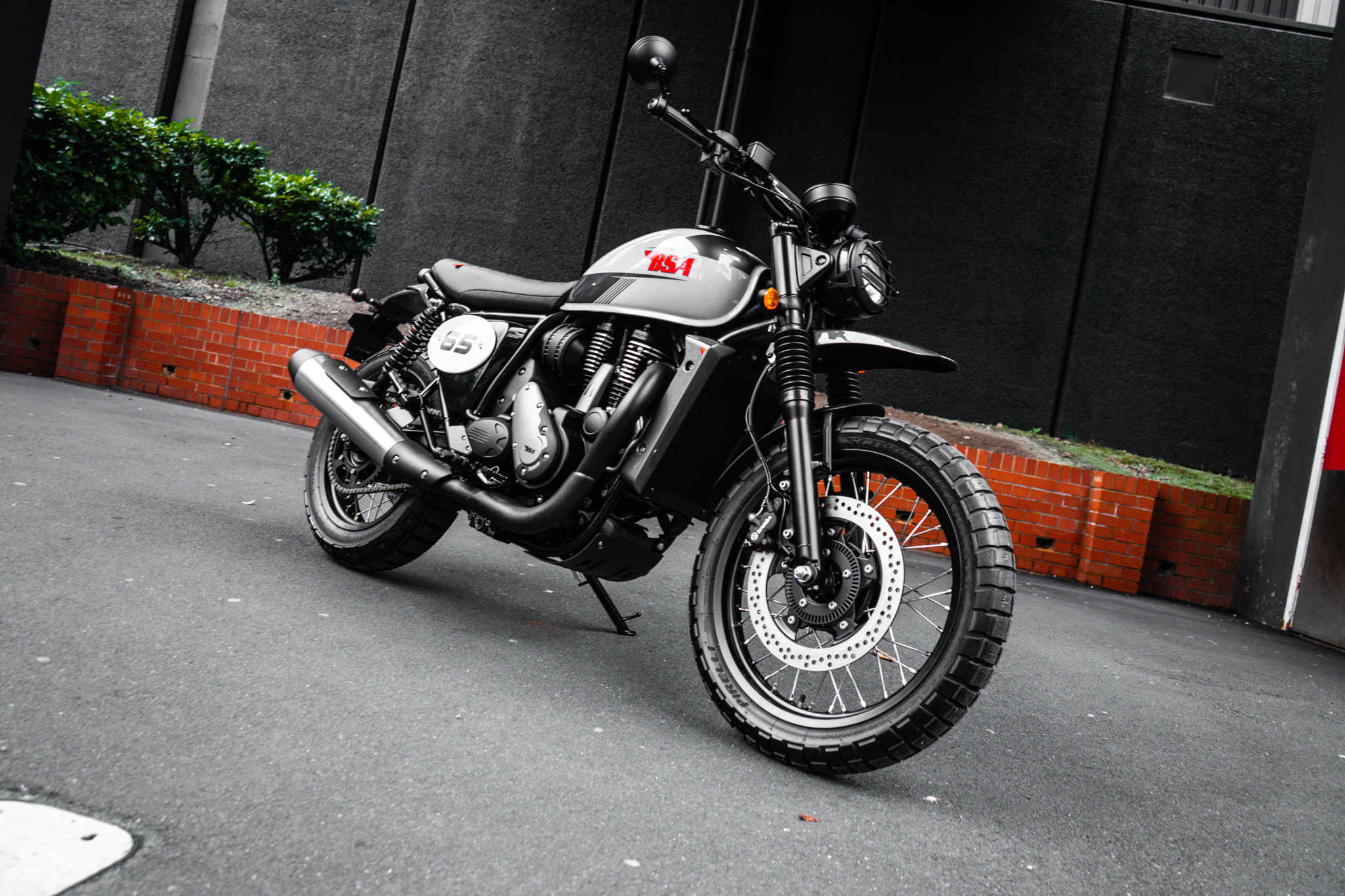 BSA B65 Scrambler 2025